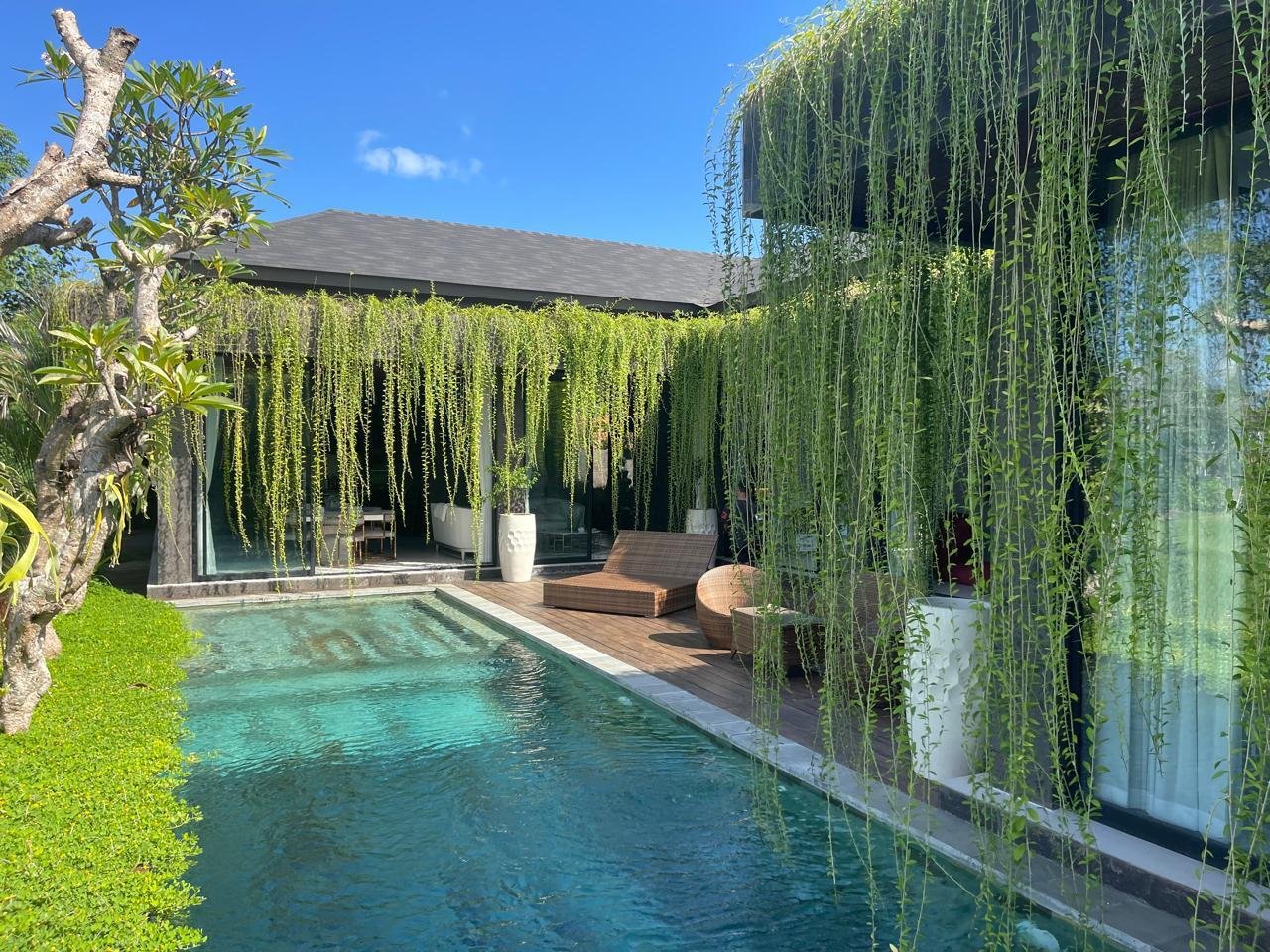 Brand New Tropical Villa for Rent in Ubud with Stunning Ricefield View